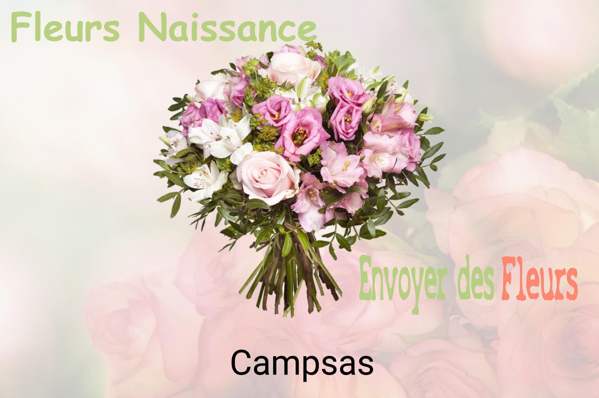 Bouquet de fleurs de naissance livré à Campsas